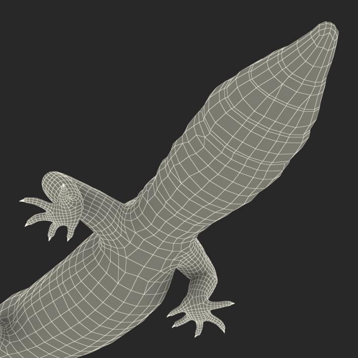 3D Leopard Gecko Walking Pose