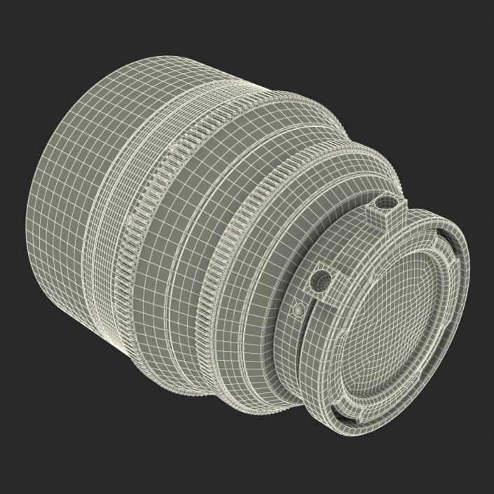 3D model Canon Lens