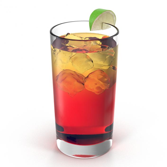 Glass of Punch with Lime 3D model