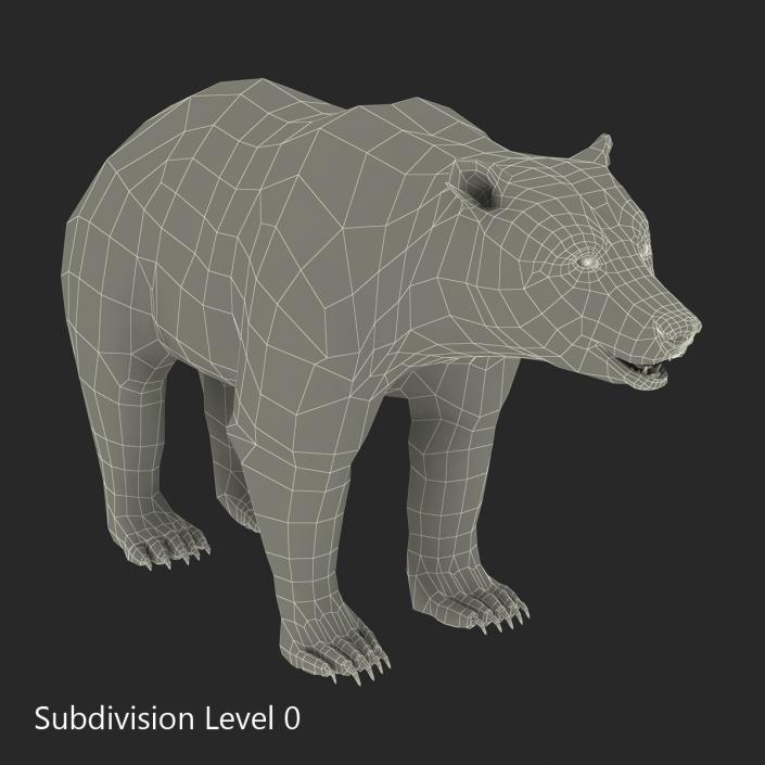 Brown Bear with Fur 3D model