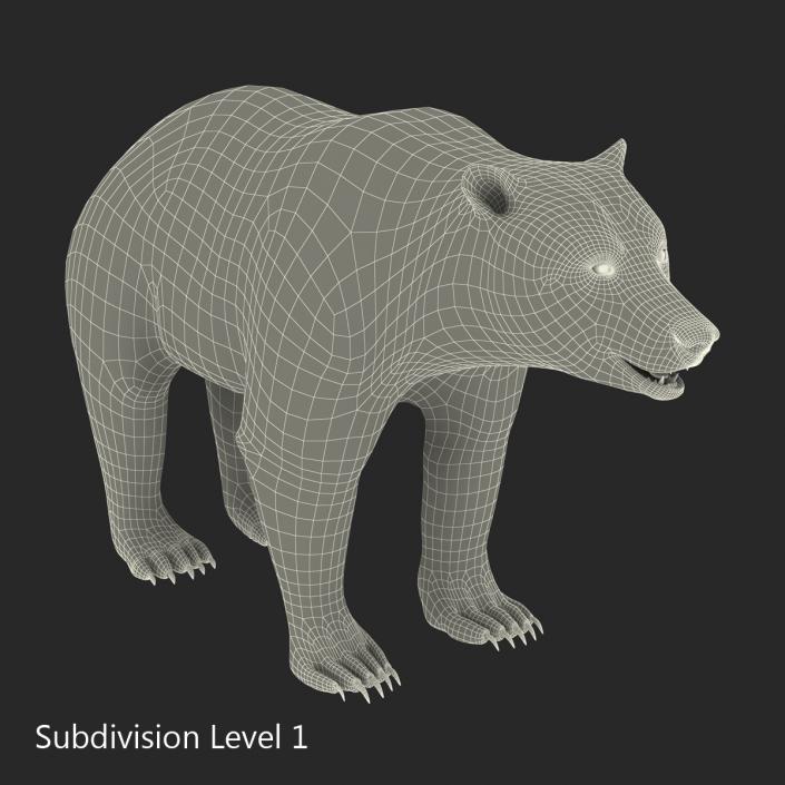 Brown Bear with Fur 3D model