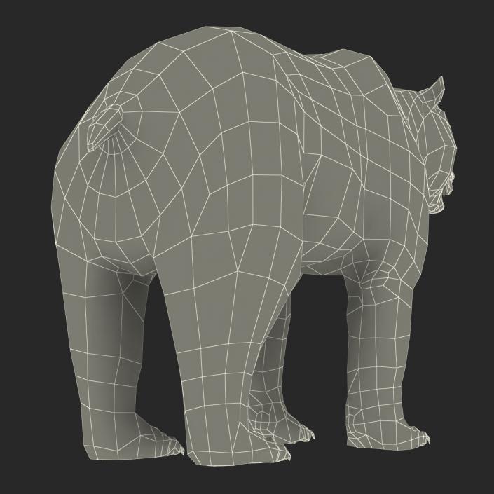 Brown Bear with Fur 3D model