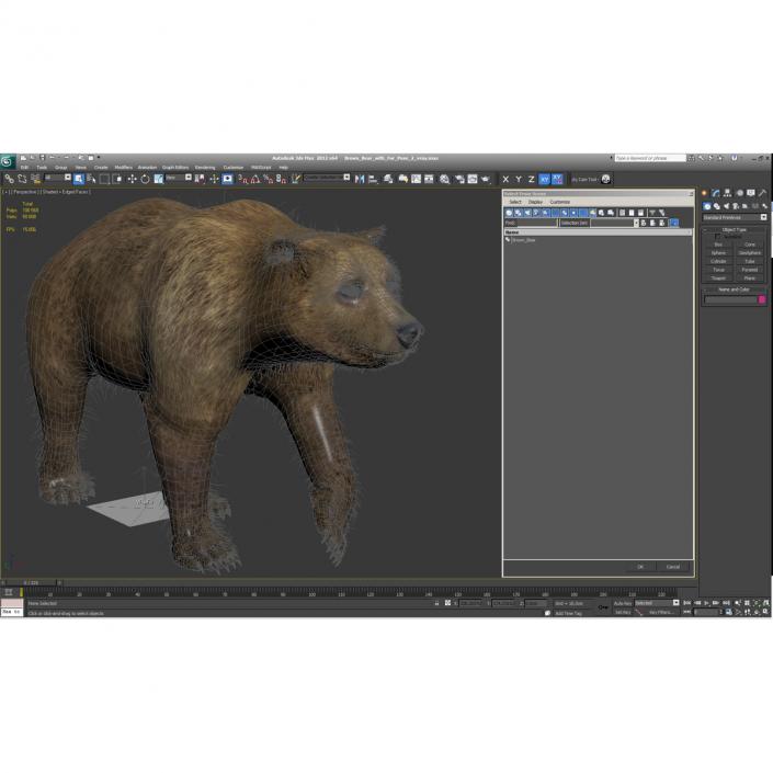 3D Brown Bear with Fur Pose 2