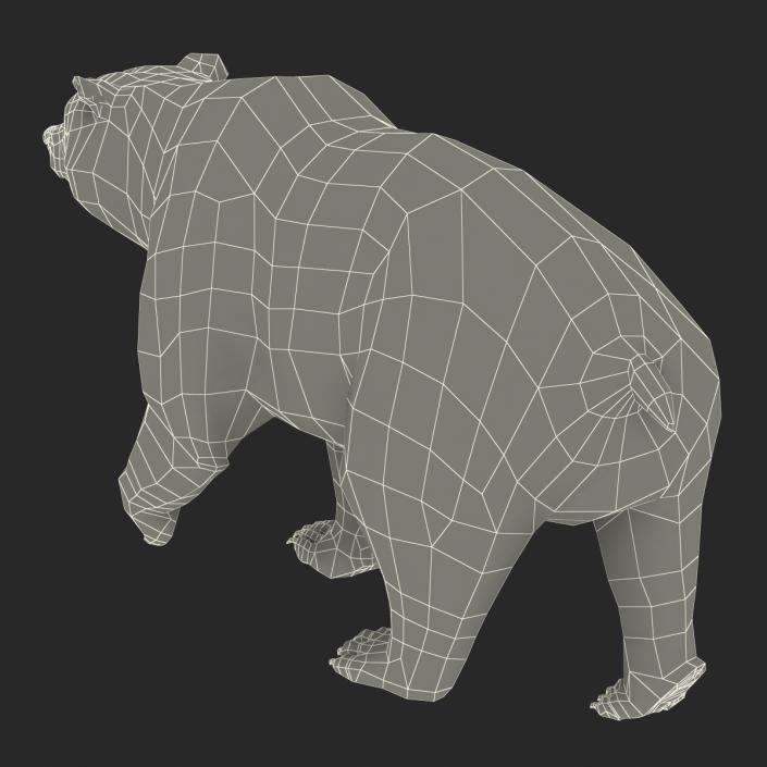 3D Brown Bear with Fur Pose 2