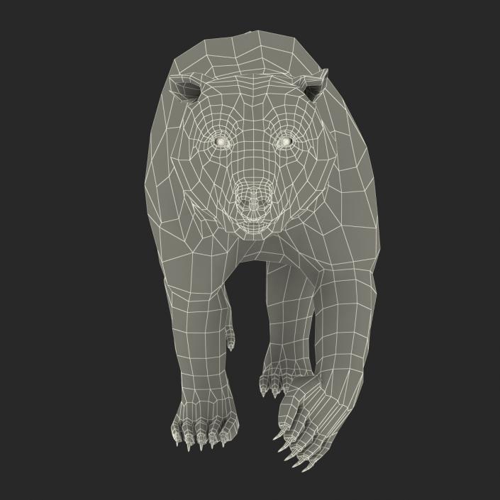 3D Brown Bear with Fur Pose 2