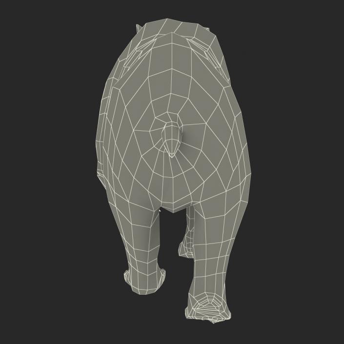 3D Brown Bear with Fur Pose 2