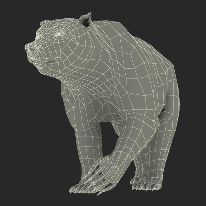 3D Brown Bear with Fur Pose 2