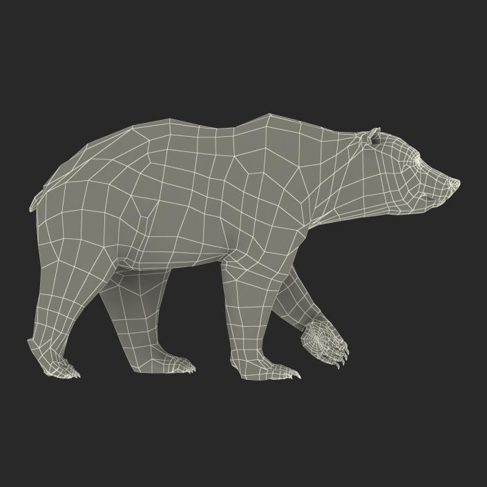 3D Brown Bear with Fur Pose 2