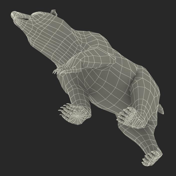 3D Brown Bear with Fur Pose 2