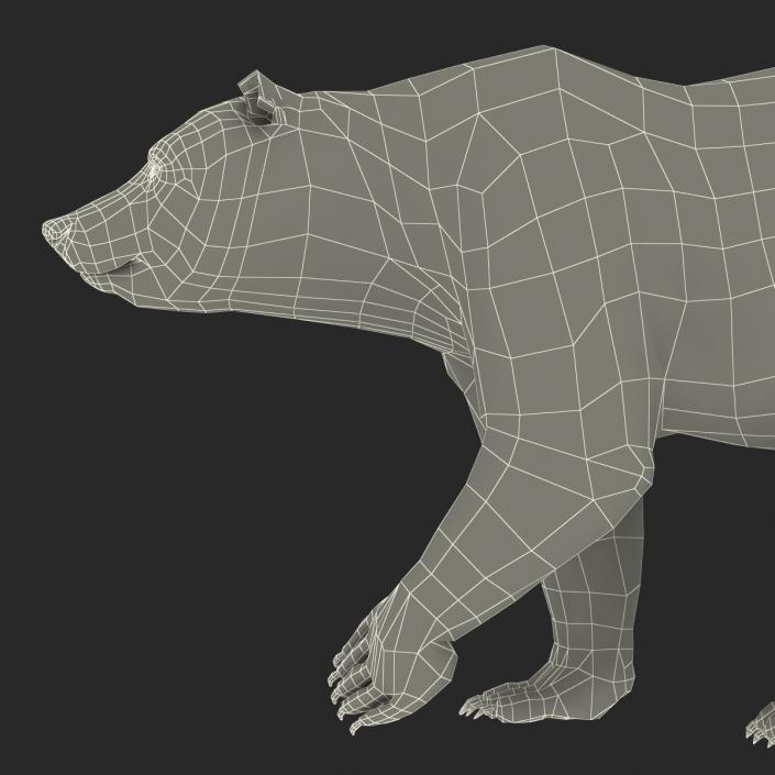 3D Brown Bear with Fur Pose 2