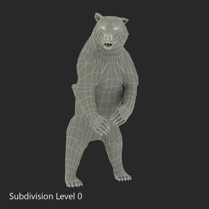 3D Brown Bear Standing Pose with Fur model