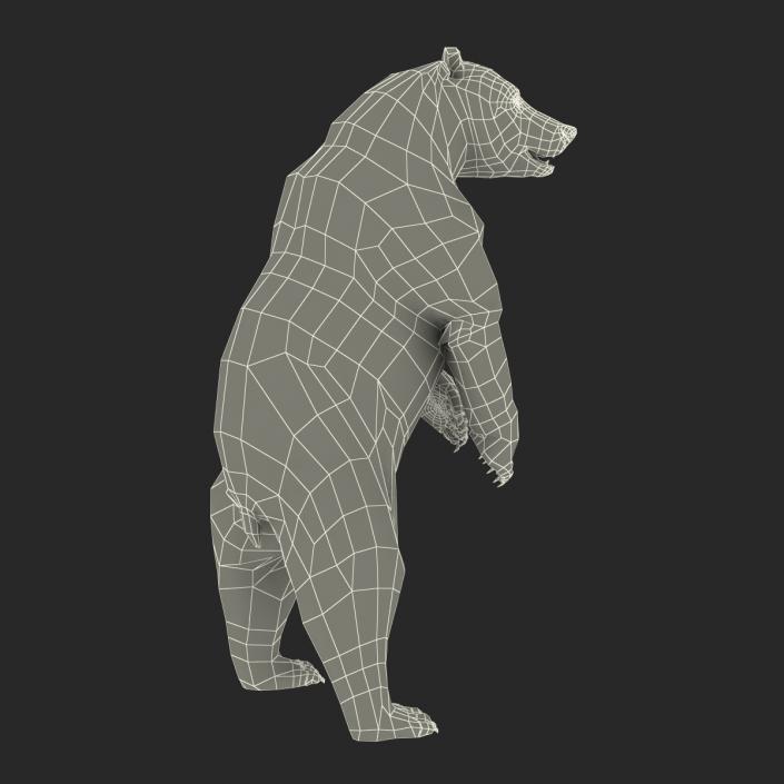 3D Brown Bear Standing Pose with Fur model