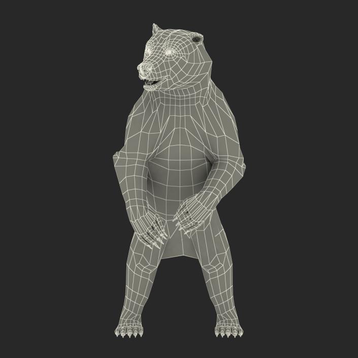 3D Brown Bear Standing Pose with Fur model