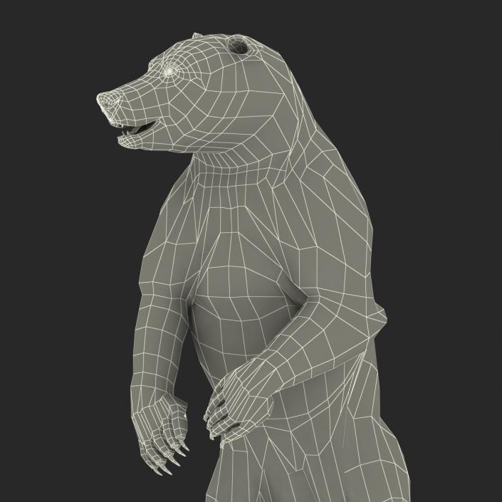 3D Brown Bear Standing Pose with Fur model