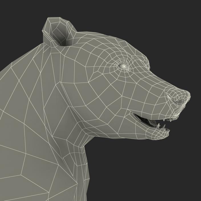 3D Brown Bear Standing Pose with Fur model