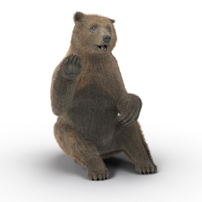 3D Brown Bear with Fur Pose 4