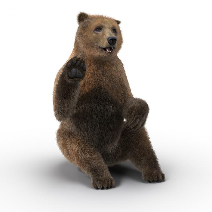 3D Brown Bear with Fur Pose 4