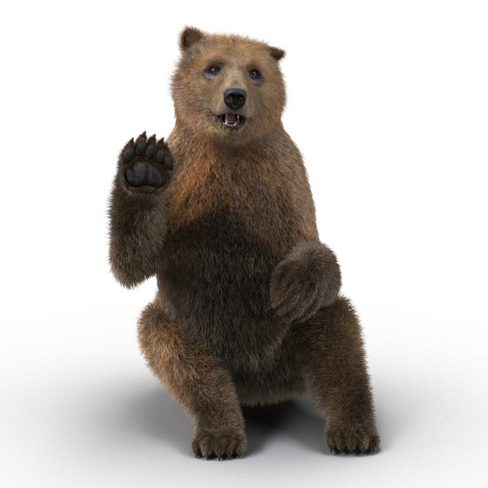 3D Brown Bear with Fur Pose 4