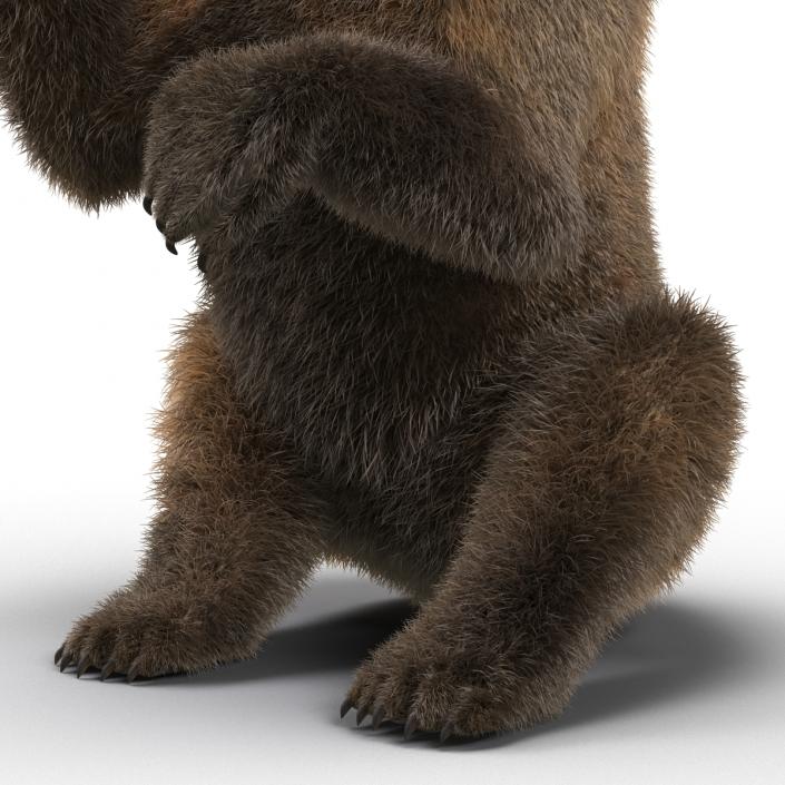 3D Brown Bear with Fur Pose 4