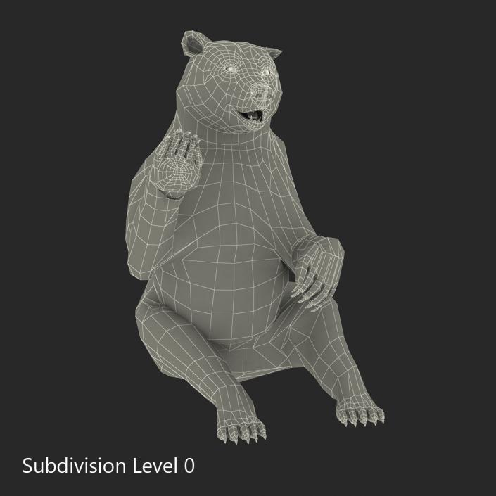 3D Brown Bear with Fur Pose 4