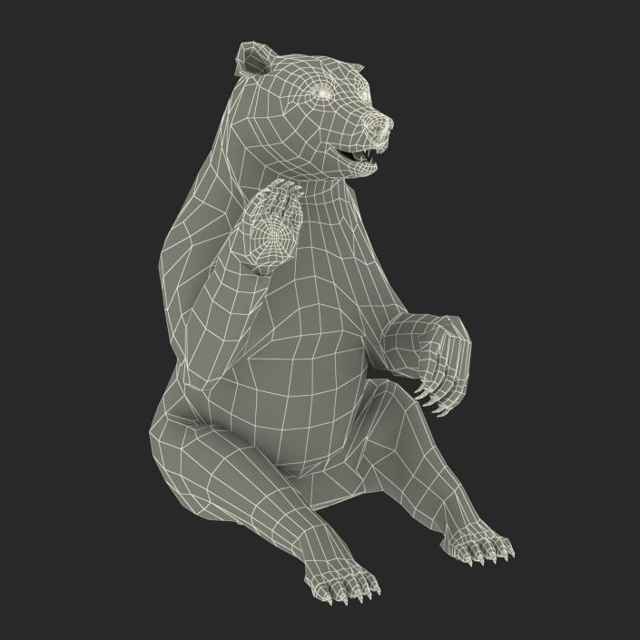 3D Brown Bear with Fur Pose 4