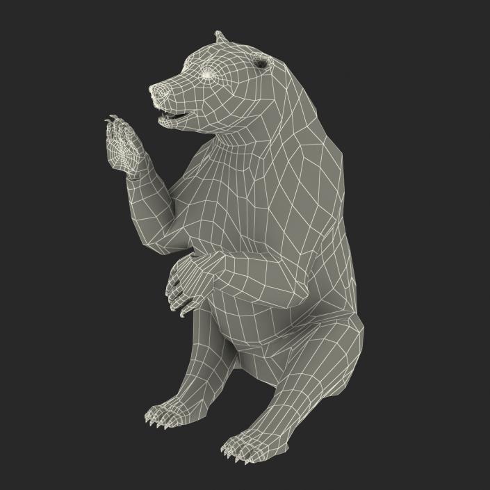 3D Brown Bear with Fur Pose 4