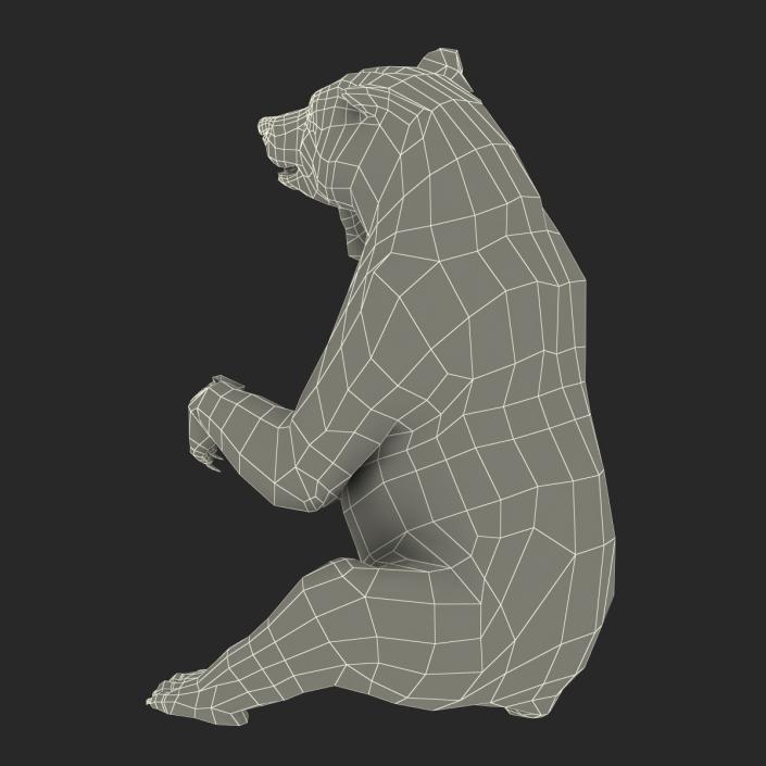 3D Brown Bear with Fur Pose 4