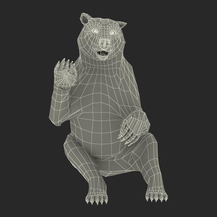 3D Brown Bear with Fur Pose 4