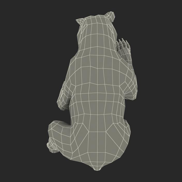 3D Brown Bear with Fur Pose 4