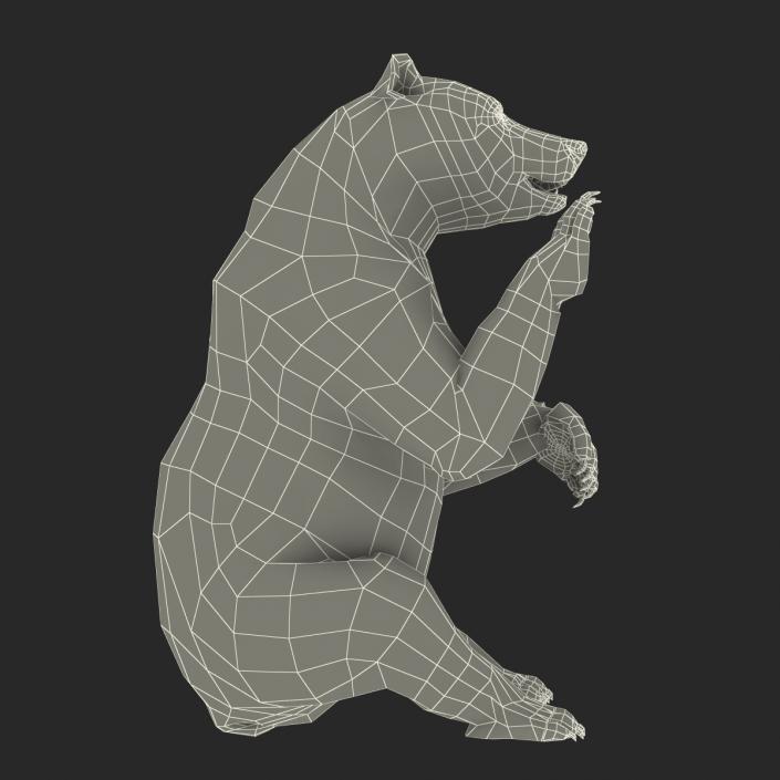 3D Brown Bear with Fur Pose 4