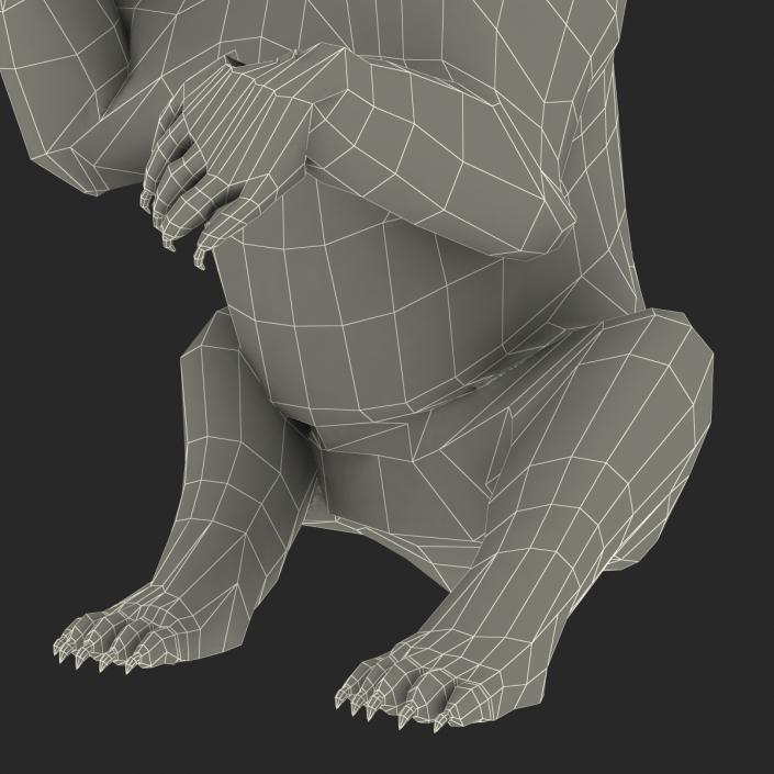 3D Brown Bear with Fur Pose 4