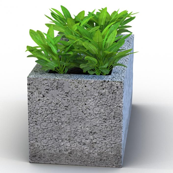 3D Cinder Block Garden 2