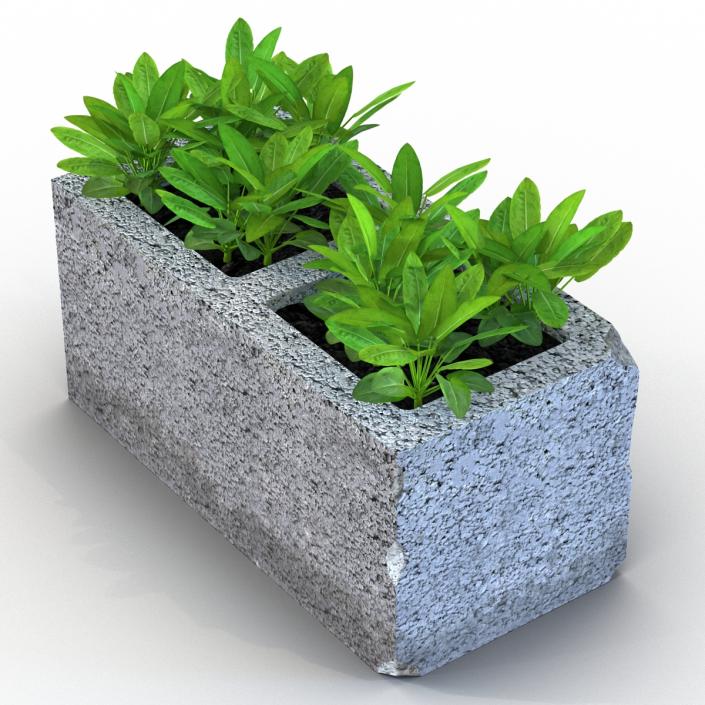 3D Cinder Block Garden 2