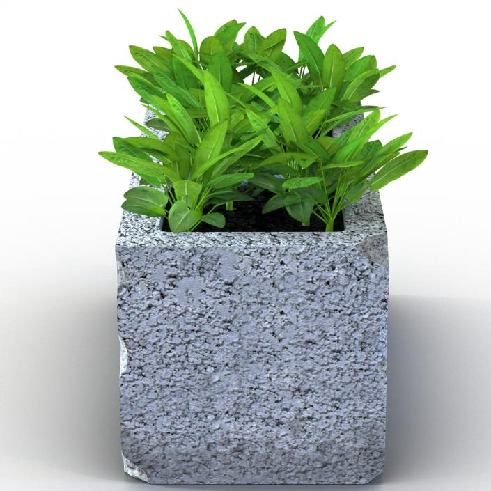 3D Cinder Block Garden 2