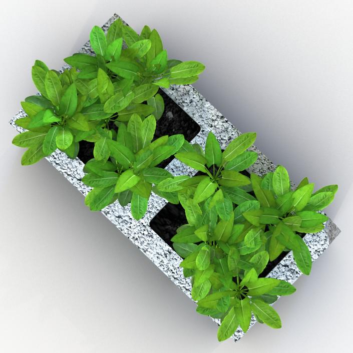 3D Cinder Block Garden 2