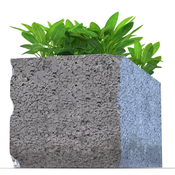 3D Cinder Block Garden 2