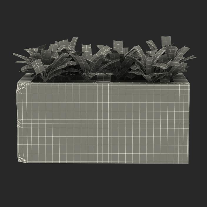 3D Cinder Block Garden 2