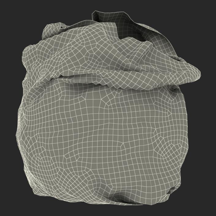 3D Garbage Bag 2 model