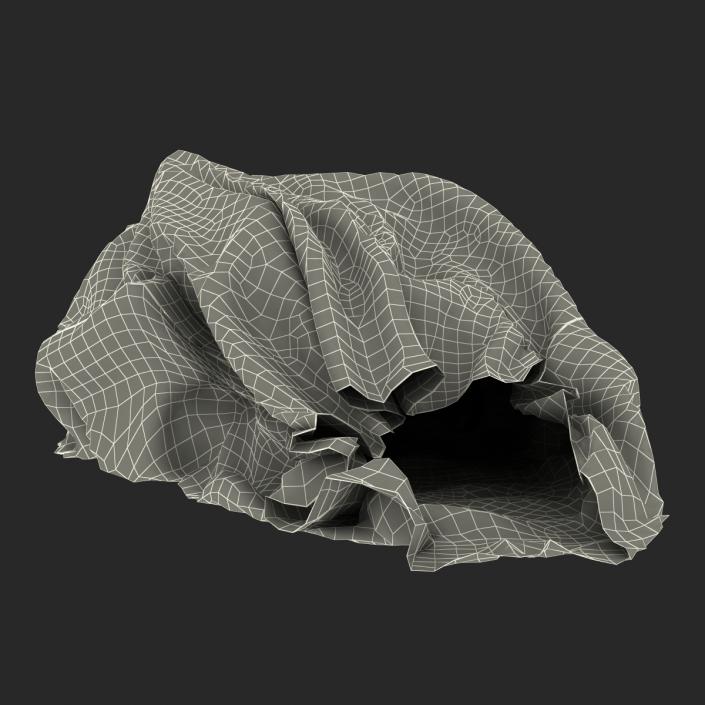 3D Garbage Bag 3 model