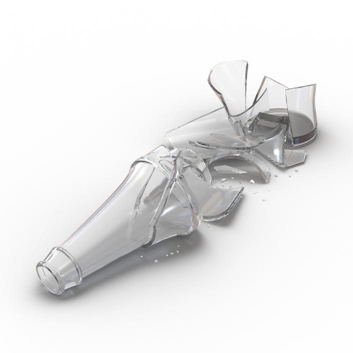 3D model Broken Beer Bottle 2