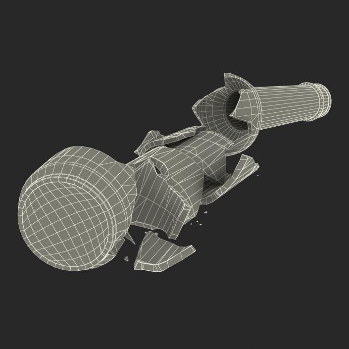 3D model Broken Beer Bottle 3