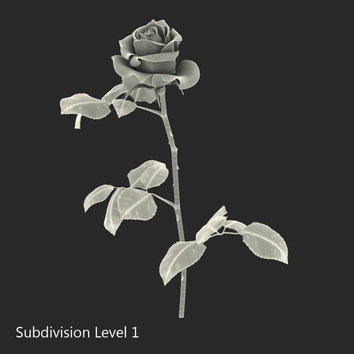 3D model Rose