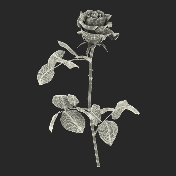 3D model Rose