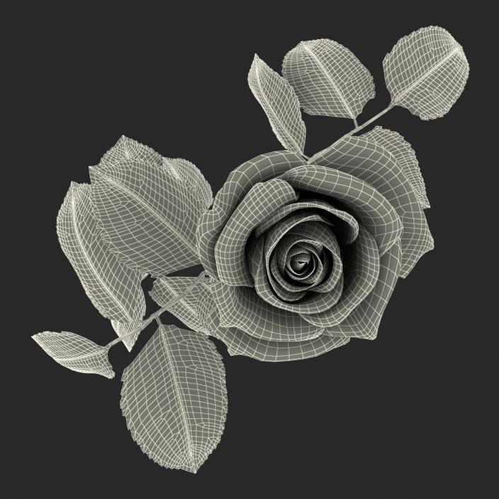 3D model Rose