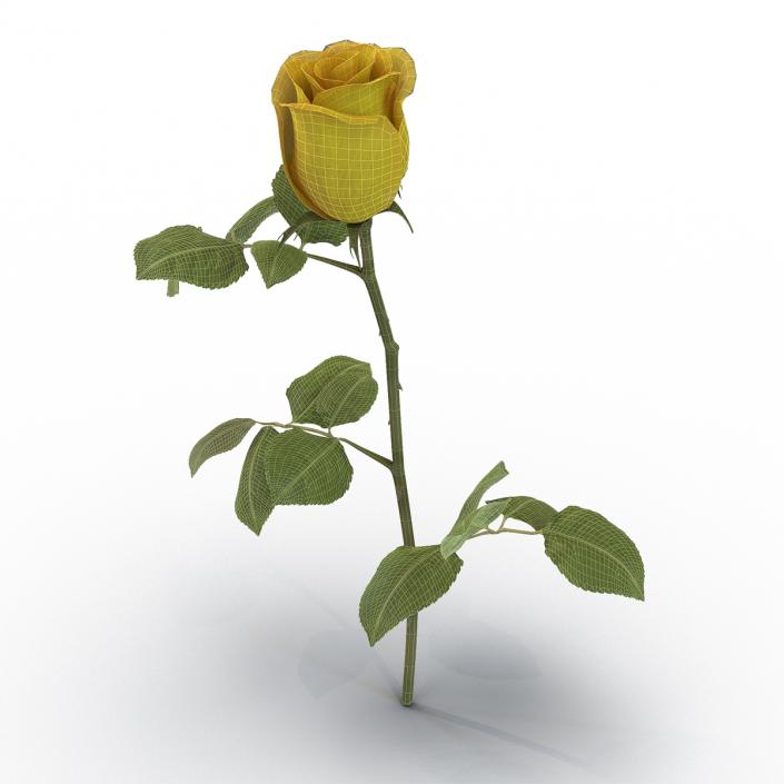 3D Rose 2 Yellow model