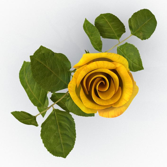 3D Rose 2 Yellow model