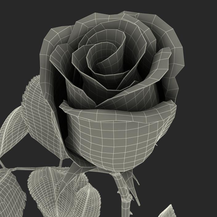 3D Rose 2 Yellow model