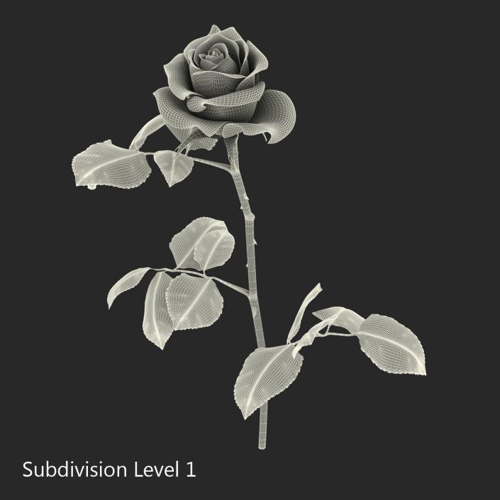 3D model Rose White