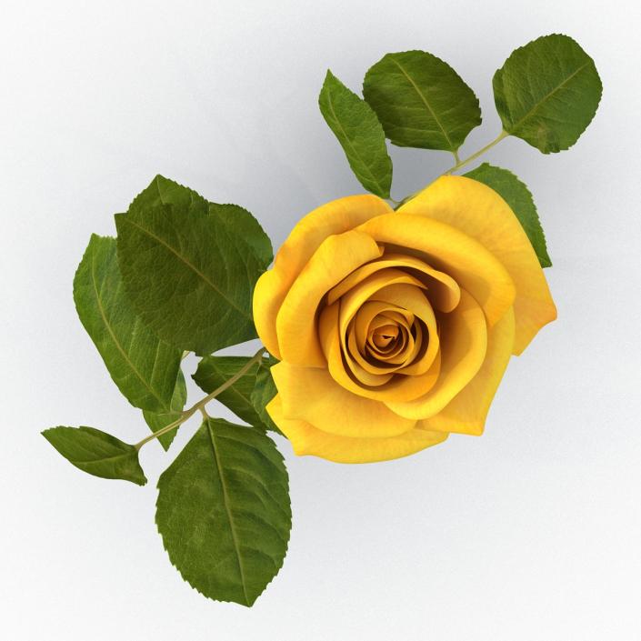 3D Rose Yellow