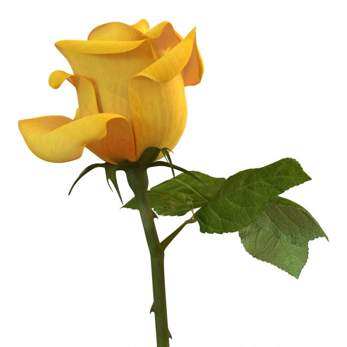 3D Rose Yellow